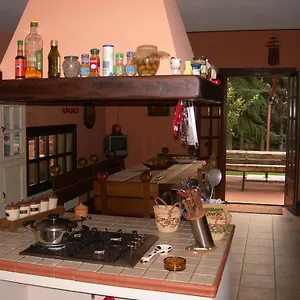 Rollo Garden Raguse